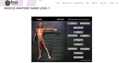 fun with anatomy|learning anatomy games.